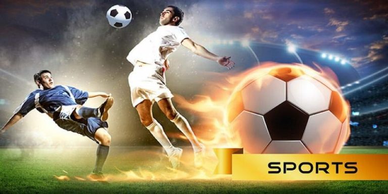 337BET Descubra o vibrante mundo dos esportes online em